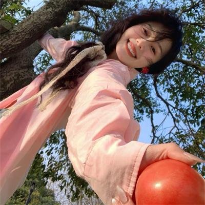 大贼与金丝猫